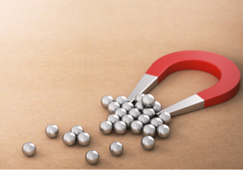 The Power of Lead Magnets in Small Business Marketing